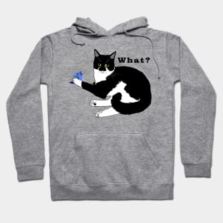 Cute Tuxedo Cat with a Bird WHAT? Copyright TeAnne Hoodie